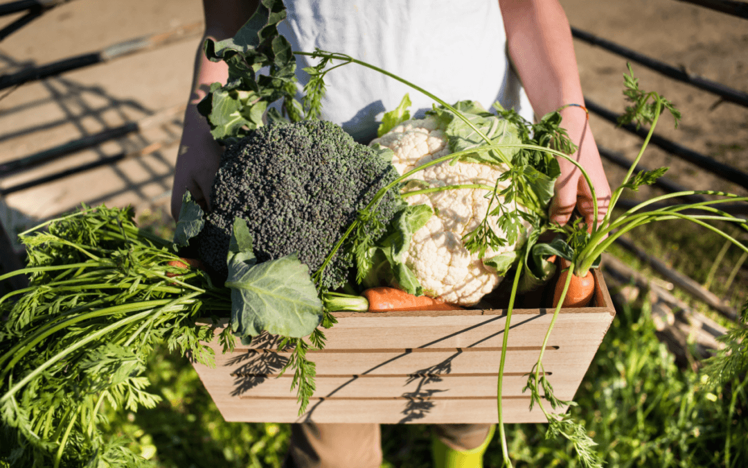 Sustainable Nutrition: Eating Well for Your Health and the Planet