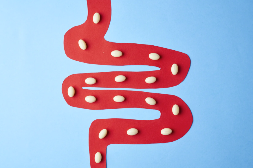 the silver nutritionist image on gut health and The Importance of Gut Health and the Microbiome